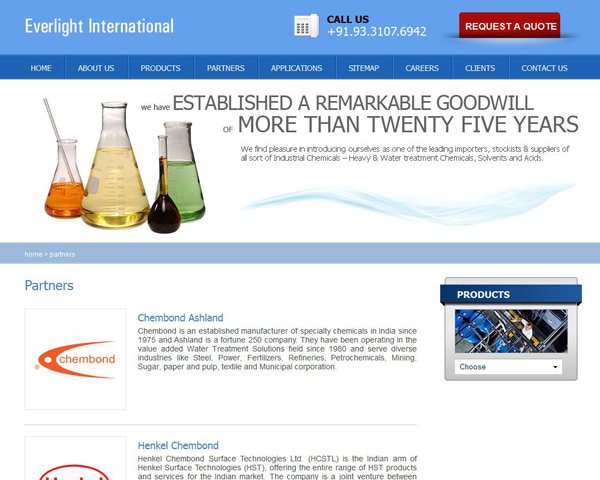 Everlight International